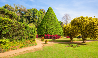 植物園でも行える地域イベントヨガ