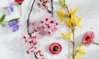 春の装飾で会場を盛り上げるイベント向けヨガ