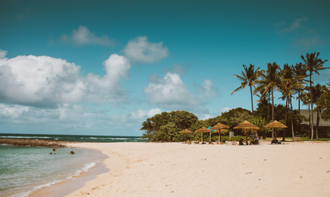 ビーチで楽しめるイベントヨガ