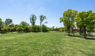 イベントヨガが開かれる屋外公園の写真